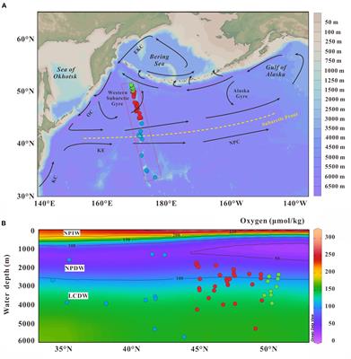 Geochemistry of Surface Sediments From the Emperor Seamount Chain, North Pacific